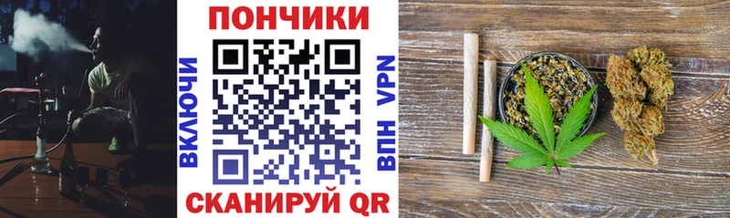 Каннабис Amnesia  где найти наркотики  Богородицк 